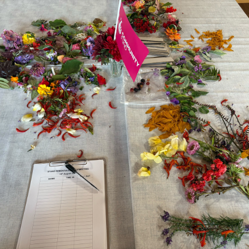 Climate Wisdom Launch – Fife